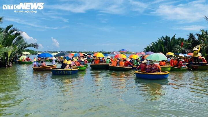 Khu rừng dừa Bảy Mẫu luôn rộn ràng bước chân du khách.