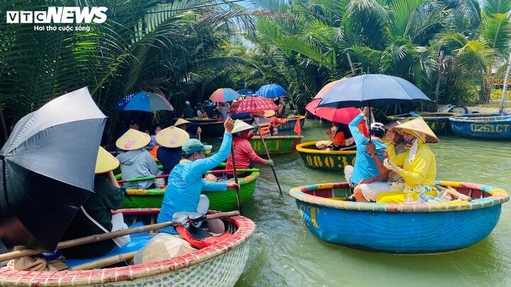 Thuyền thúng trở thành phương tiện đưa khách vào sâu bên trong rừng dừa, khám phá hệ sinh thái độc đáo.