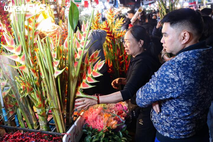 Năm nay, nhiều loại hoa lạ lần đầu xuất hiện, được vận chuyển từ Đà Lạt ra Hà Nội bằng đường hàng không.