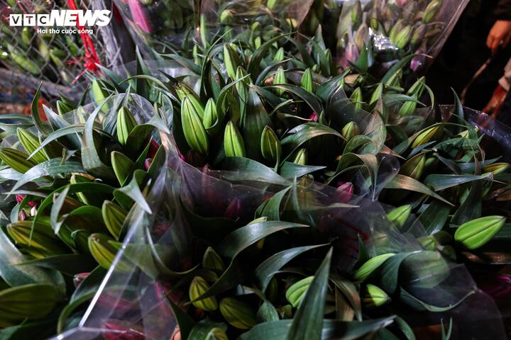 So với mức 200.000 - 300.000 đồng/10 cành vào ngày thường thì giá hoa ly dịp cận Tết đã tăng đáng kể, lên 400.000 - 900.000 đồng.