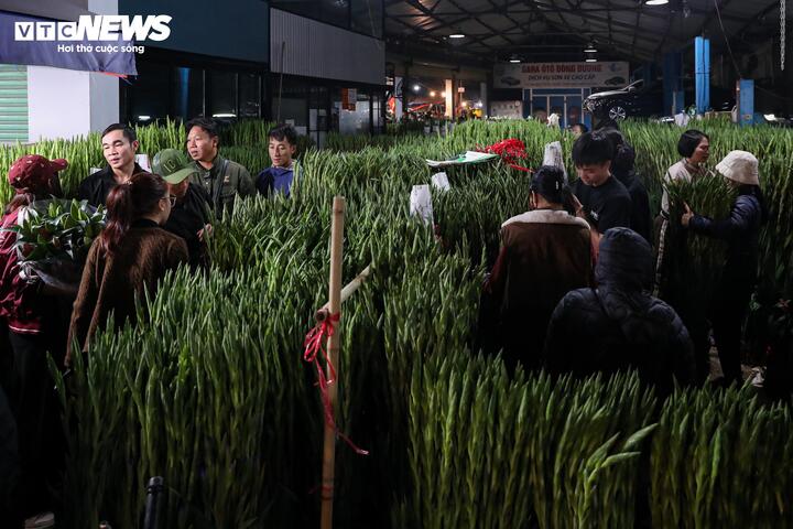 Tuy nhiên, những mặt hàng hút khách nhất dịp gần Tết vẫn là các loại quen thuộc như: hoa ly, lay ơn, đào, mộc lan… Lượng người mua tăng mạnh khiến giá nhiều loại hoa bị đẩy lên cao, có mặt hàng tăng gấp đôi ngày thường.