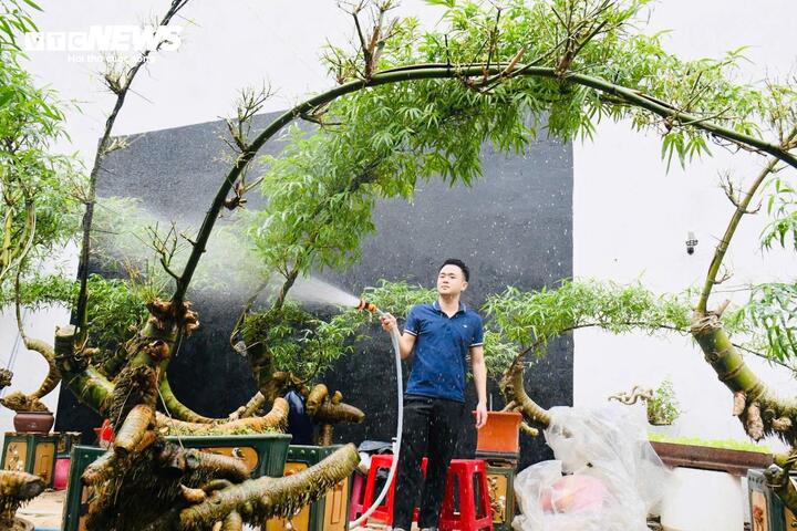 Sau khi đưa về xưởng nhỏ tại nhà, anh tiến hành làm sạch đất cát, cắt bỏ phần rễ thừa và xử lý chống mối mọt. Công đoạn này đòi hỏi sự tỉ mỉ và kiên nhẫn. Gốc tre được phơi khô tự nhiên, sau đó anh sử dụng dụng cụ chuyên dụng để tạo hình, khoét rỗng những phần mục, giữ lại các đường nét đặc sắc nhất.