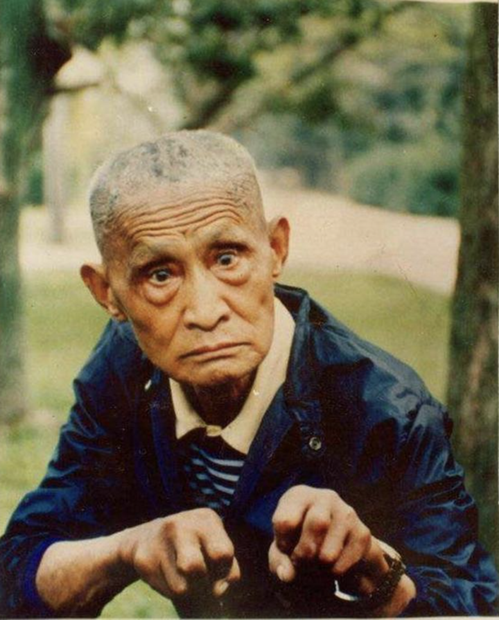 Vạn Lại Thanh còn nổi tiếng về tài văn chương và chữa bệnh bằng y học cổ truyền. (Nguồn: Sohu)