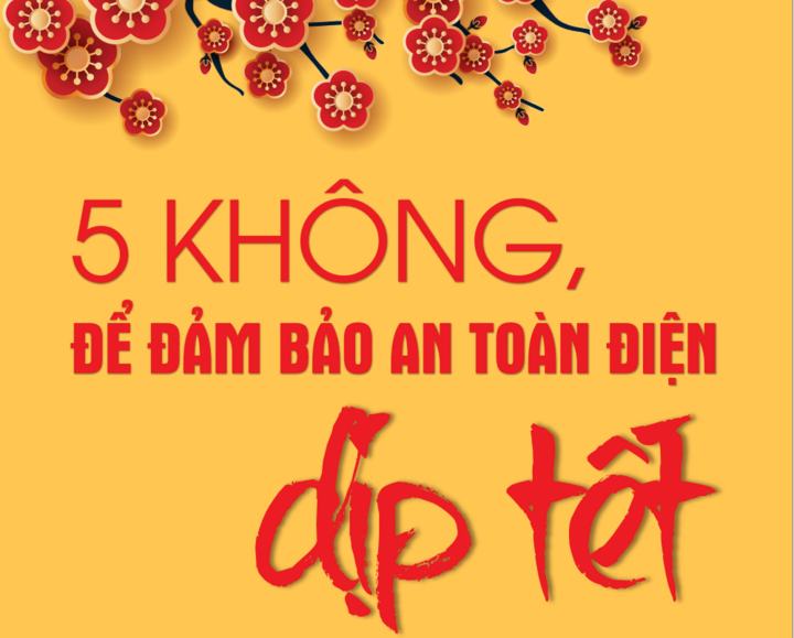 EVN sẵn sàng đảm bảo cung cấp điện trong dịp Tết Nguyên đán Bính Ngọ 2026 - 2