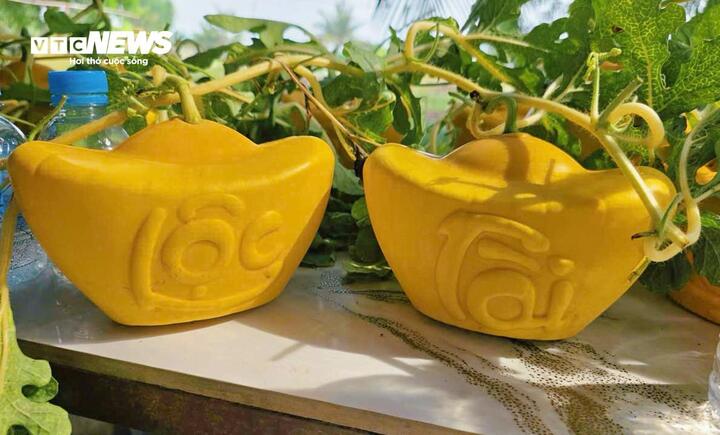 Dưa hấu tạo hình thỏi vàng do anh Tâm sản xuất, giá bán từ 1,5-2 triệu đồng/quả