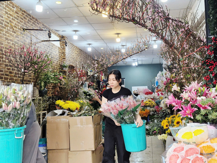 Những cành đào huyền giá hơn 5 triệu đồng đợi khách, chị Thanh phải đưa về cửa hàng tại nhà để chăm sóc.