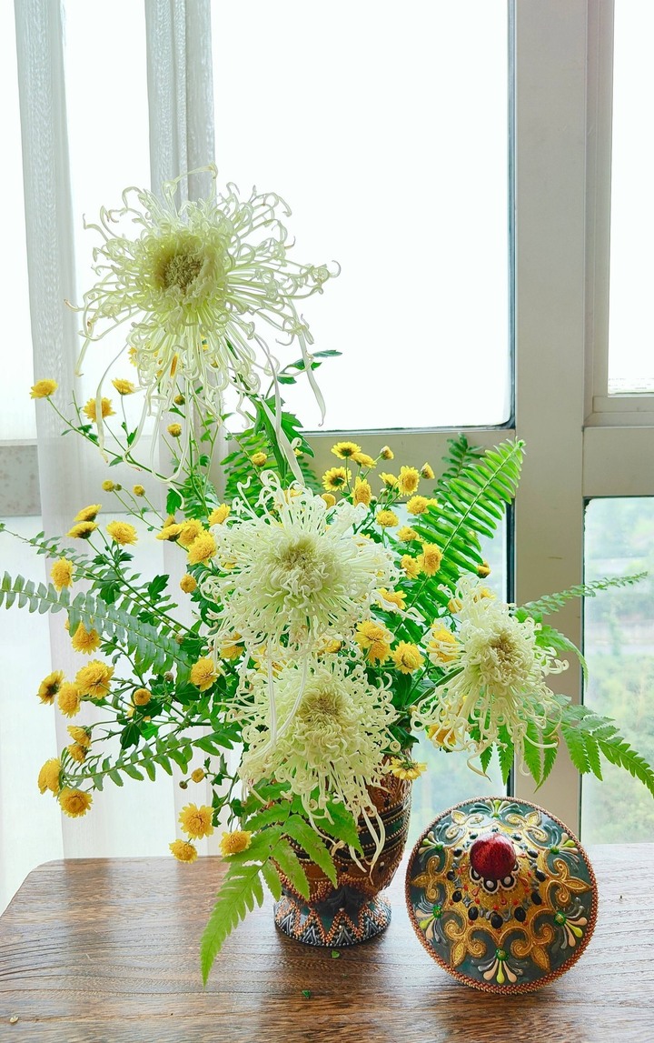 Dòng cúc cổ quý mang tên Khổng tước xanh, thường được chăm bẵm trên chậu.