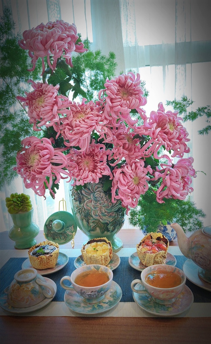 Đây là dòng cúc Hồng Tú Kiều đang làm mưa làm gió giới mê hoa cả nước dạo gần đây.