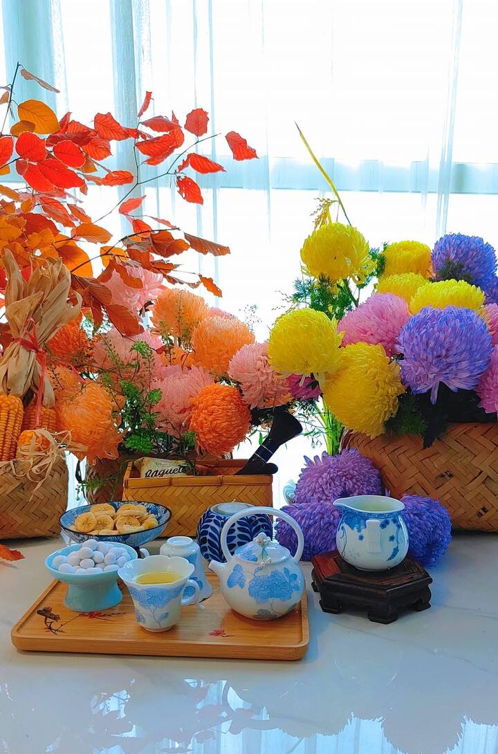 Cúc mẫu đơn nhuộm với đủ màu rực rỡ.