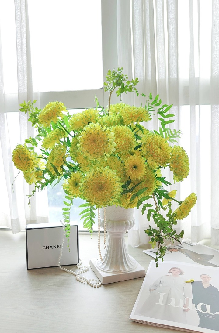 Cúc vàng phớt xanh khi cắm lên trông rất lôi cuốn.