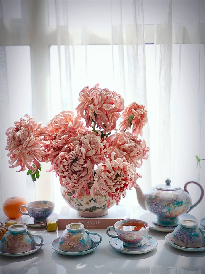 Cúc Vienna - dòng cúc nhập khẩu bông to, màu sắc cuốn hút.