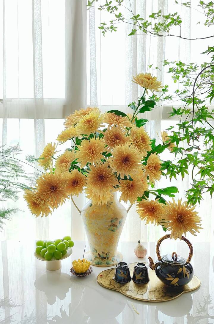 Dòng cúc cổ mang tên Pháo hoa vàng.