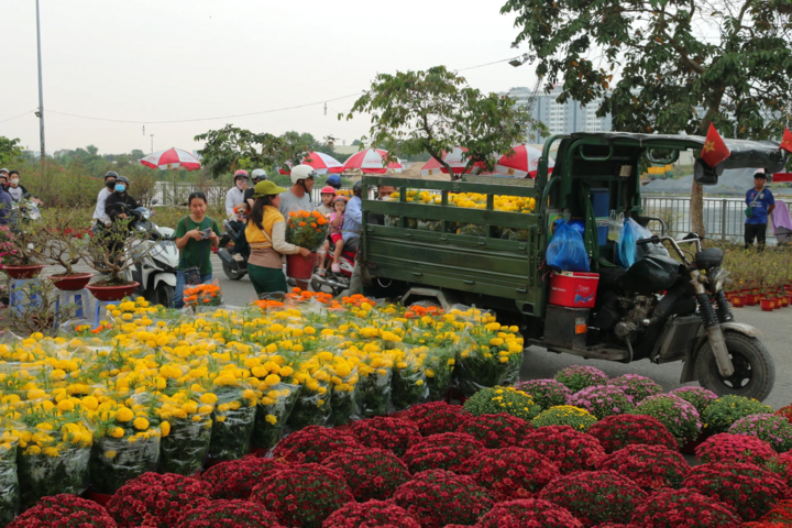 Chợ hoa Bình Điền tấp nập khách mua vì giá rẻ.