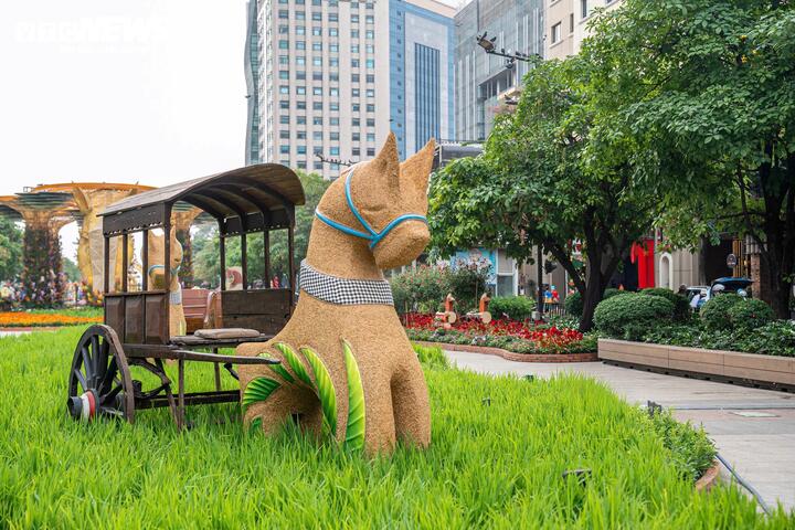 Hệ thống đèn chiếu sáng trên đường hoa được bật lên, du khách sẽ được mãn nhãn với lễ hội ánh sáng và công nghệ mapping đột phá, tạo sức hút mới lạ với những ai đã nhiều lần đến Đường hoa Nguyễn Huệ.