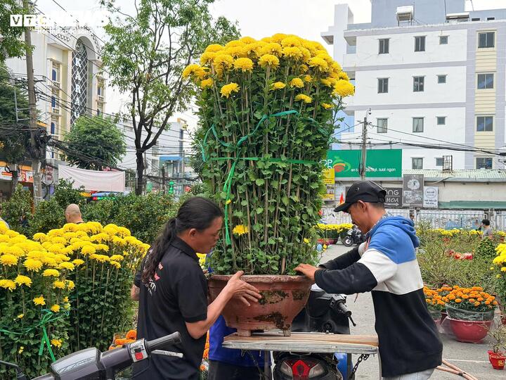 Ngoài mai, đào, những chậu hoa to cũng được ship đến tận nhà.