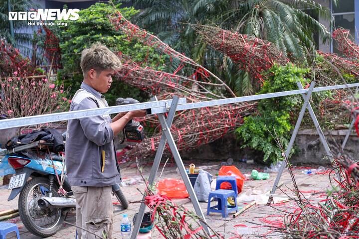 Chen chân mua đào, quất xả giá 'cắt lỗ' chiều 29 Tết ở Hà Nội - 3