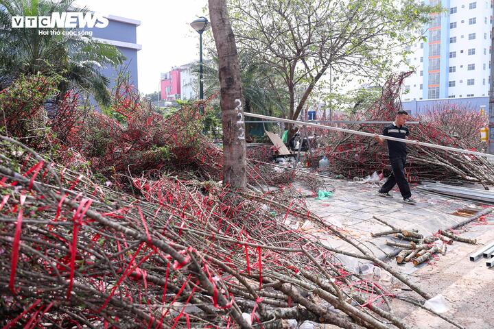 Chen chân mua đào, quất xả giá 'cắt lỗ' chiều 29 Tết ở Hà Nội - 4