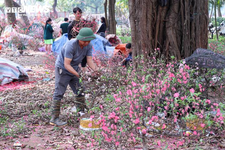 Chen chân mua đào, quất xả giá 'cắt lỗ' chiều 29 Tết ở Hà Nội - 6