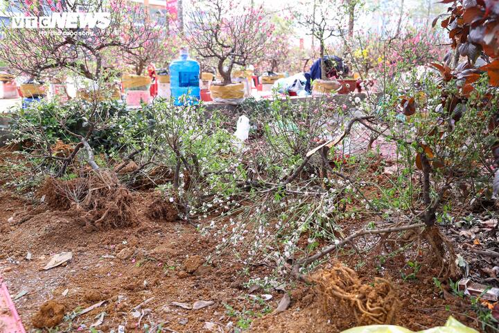 Chen chân mua đào, quất xả giá 'cắt lỗ' chiều 29 Tết ở Hà Nội - 11