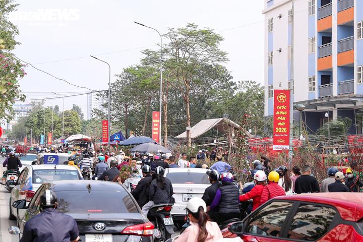 Tranh thủ lúc tiểu thương đồng loạt giảm giá, xả hàng, nhiều người dân cũng tranh thủ gác lại công việc để sắm cây cảnh chơi Tết với mức giá vừa túi tiền.