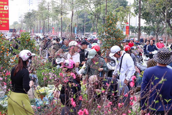 Những cành đào nhỏ có giá từ 30.000–40.000 đồng thu hút khách hàng muốn trưng đào trên bàn thờ gia tiên dịp Tết.