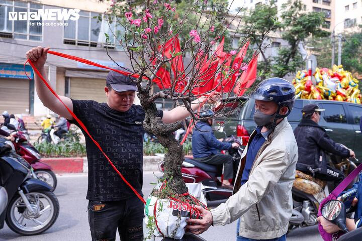 Chen chân mua đào, quất xả giá 'cắt lỗ' chiều 29 Tết ở Hà Nội - 17