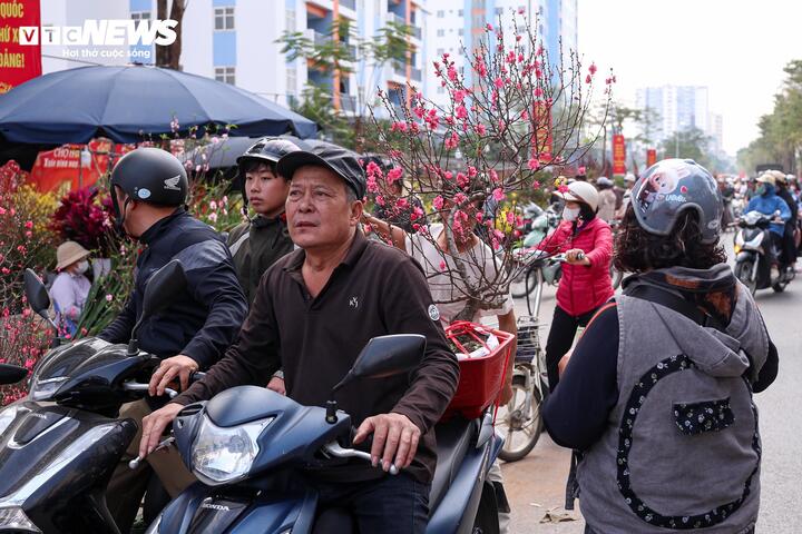 Chen chân mua đào, quất xả giá 'cắt lỗ' chiều 29 Tết ở Hà Nội - 16