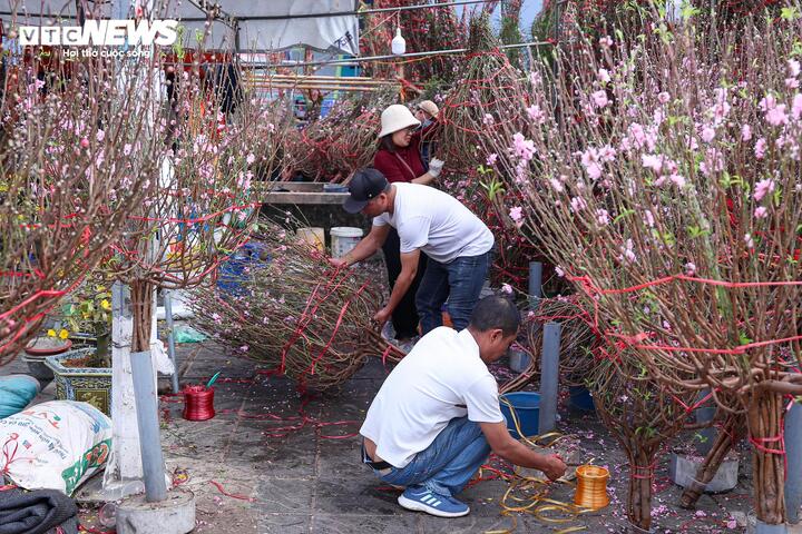 Chọn được một cành đào ưng ý, anh Hoàn cho biết do bận công việc nên chưa có thời gian sắm Tết cho gia đình. “Hôm nay tranh thủ ra mua một cành đào cắm phòng khách. Mua thời điểm này giá hợp lý, nhưng cũng phải chọn kỹ vì thời tiết nóng khiến đào nở sớm”, anh Hoàn chia sẻ.