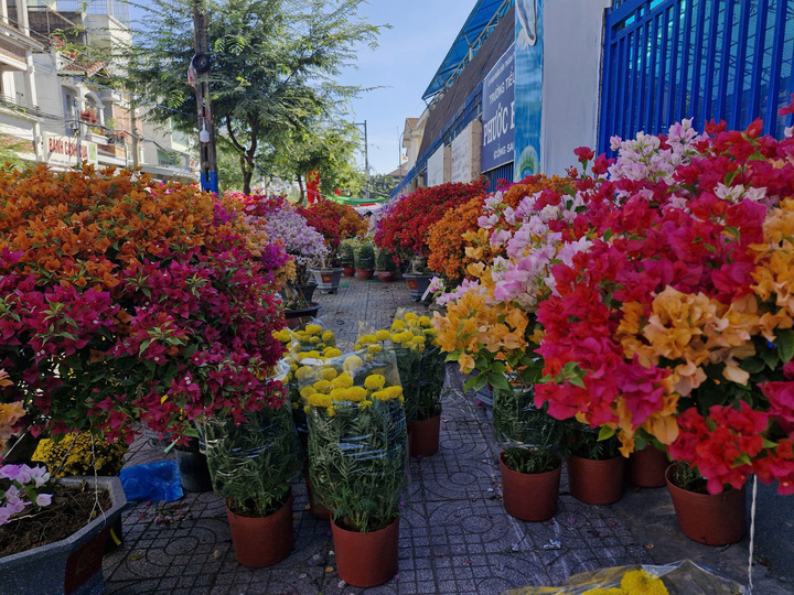 Chủ hàng hoa này dự định bán đến 7h tối thì dọn hàng về Chợ Lách (Vĩnh Long).