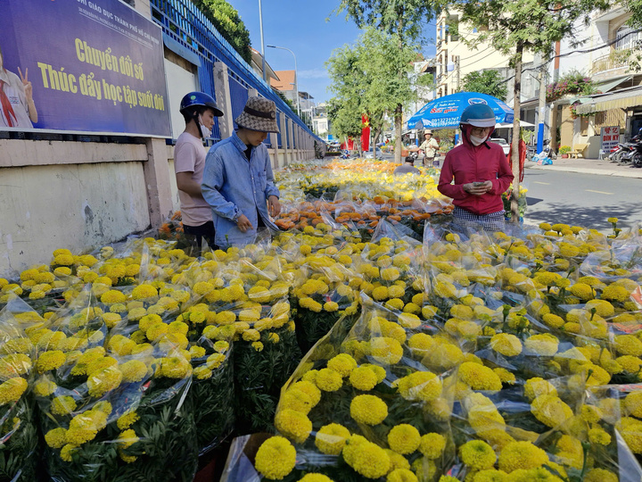 Riêng hoa chậu vẫn còn khá nhiều nhưng khách mua thưa thớt.