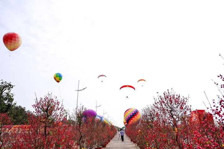 Lễ hội khinh khí cầu và dù lượn lần đầu xuất hiện trong khuôn khổ lễ hội xuân.