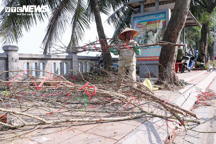 Chen chân mua đào, quất xả giá 'cắt lỗ' chiều 29 Tết ở Hà Nội - 18