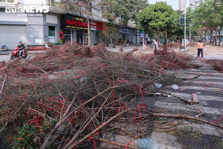 Tại đường Tố Hữu, nhiều quầy bán đào rừng bỏ lại hàng trăm cành đào trên vỉa hè, lòng đường, gây nhếch nhác và cản trở giao thông.