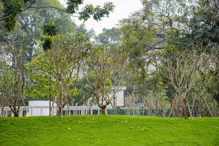 "Khi TP.HCM mở rộng không gian đô thị, việc biến các khu đất trống, dù nhỏ hay lớn, thành vườn hoa là mô hình nên nhân rộng"-TS Nguyễn Thị Hậu.