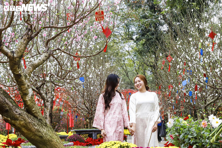 Hàng trăm gốc đào, quất cảnh và tiểu cảnh xuân rực rỡ biến khu vực hồ Gươm thành điểm check-in thu hút đông người dân, du khách.