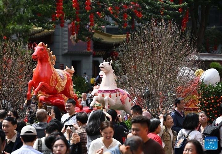 Người dân tham quan chợ hoa.