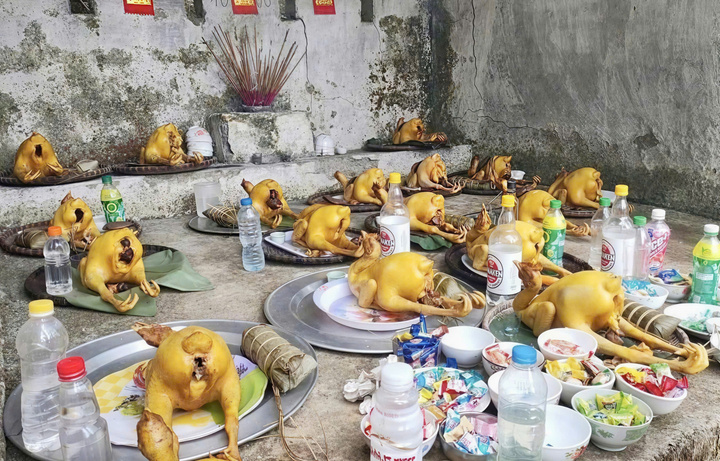 Mâm lễ cúng Thổ công người Nùng có một con gà trống thiến luộc thật to, bánh chưng, một chai rượu trắng. (Ảnh: Hà An)