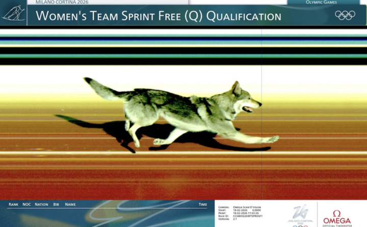 Nazgul đã kích hoạt camera vạch đích của Omega. (Nguồn : Reuters)