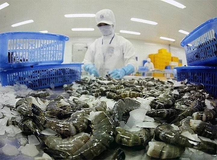 Mức thuế chống bán phá giá Mỹ áp lên tôm Việt giảm từ 35,29% xuống còn 4,58%.