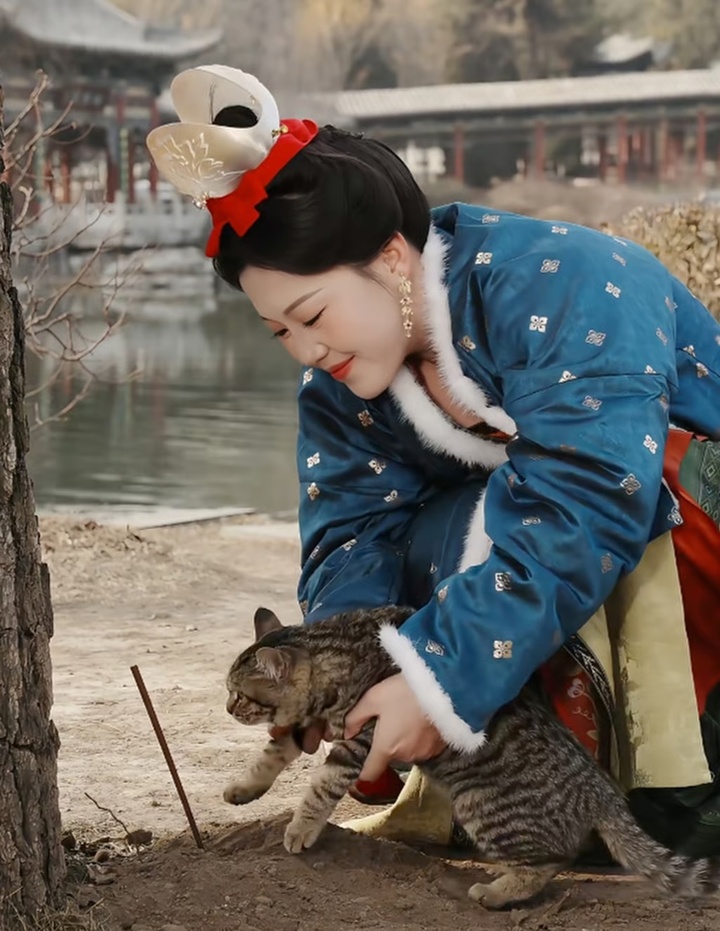 Những chiếc đũa ở trên được dùng để đánh dấu vị trí mà mèo thời xưa có thể đi vệ sinh. (Ảnh: RedNote)