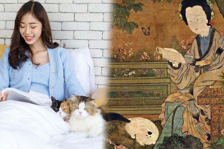 Phong tục cổ xưa của Trung Quốc về việc mang mèo về nhà nuôi làm thú cưng rất giống như làm lễ cưới.