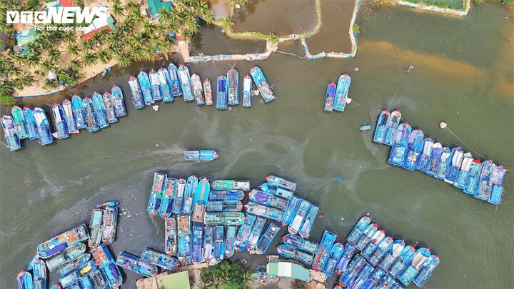 Trước đó tháng 3/2024, Bộ NN&PTNT phối hợp với UBND tỉnh Bình Định (cũ) đã triển khai các thủ tục để trình phê duyệt phương án thực hiện Tiểu dự án Khu neo đậu tránh trú bão cấp vùng Tam Quan.