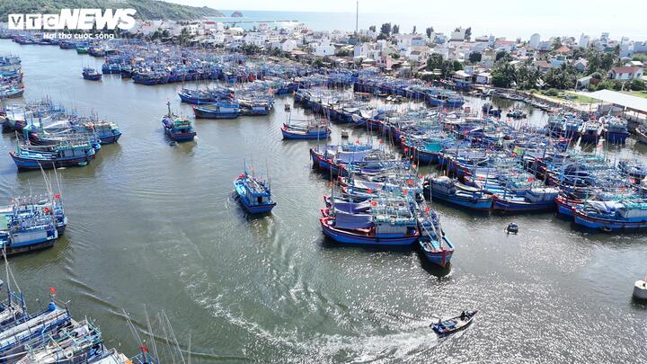 Dự án do Ban Quản lý cảng cá Tam Quan (thuộc Sở Nông nghiệp và Môi trường tỉnh Gia Lai) làm chủ đầu tư, thực hiện trong năm 2026, với tổng kinh phí hơn 6 tỷ đồng.