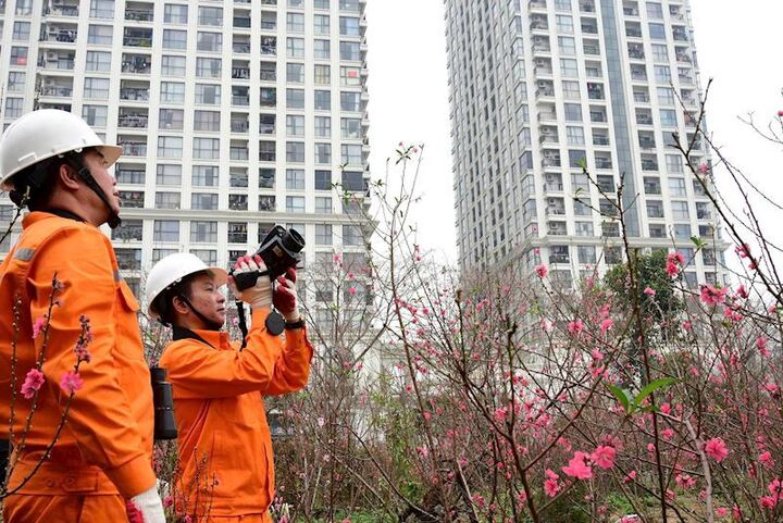 EVN khẩn trương triển khai nhiệm vụ công tác ngay sau kỳ nghỉ Tết Bính Ngọ 2026 - 3