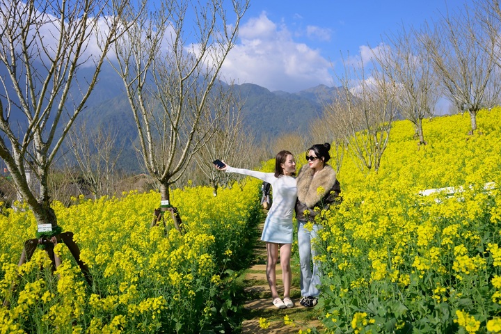 Fansipan ngợp ngời sắc hoa xuân và rộn ràng lễ hội 'Mở cổng trời' - 2