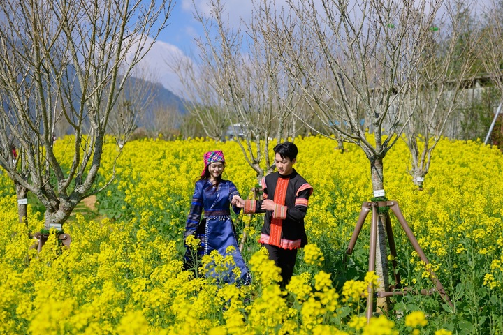 Fansipan ngợp ngời sắc hoa xuân và rộn ràng lễ hội 'Mở cổng trời' - 1