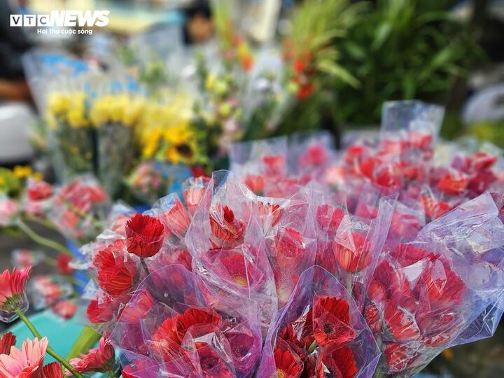 Hoa đồng tiền là loài hoa được sử dụng nhiều trong các dịp lễ, Tết và nhất là trong ngày vía Thần Tài (mùng 10 tháng Giêng).