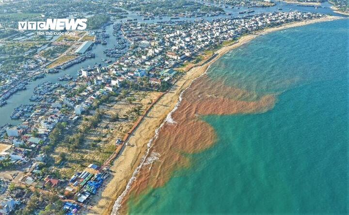 Đó là một dải nước màu nâu đỏ kéo dài dọc bờ biển phường Hoài Nhơn Bắc, nhiều ý kiến cho rằng đây là hiện tượng "thủy triều đỏ".