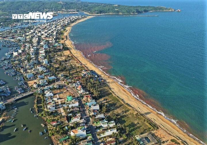 "Hiện tượng này khiến nhiều người bày tỏ lo ngại về nguy cơ ảnh hưởng đến môi trường biển cũng như hoạt động đánh bắt, nuôi trồng thủy sản. Nhưng theo nắm bắt từ người dân địa phương, tình trạng nước đổi màu đã xuất hiện rải rác nhiều tháng qua, đến thời điểm hiện tại chưa ghi nhận trường hợp độc hại nào", ông Hoá thông tin.