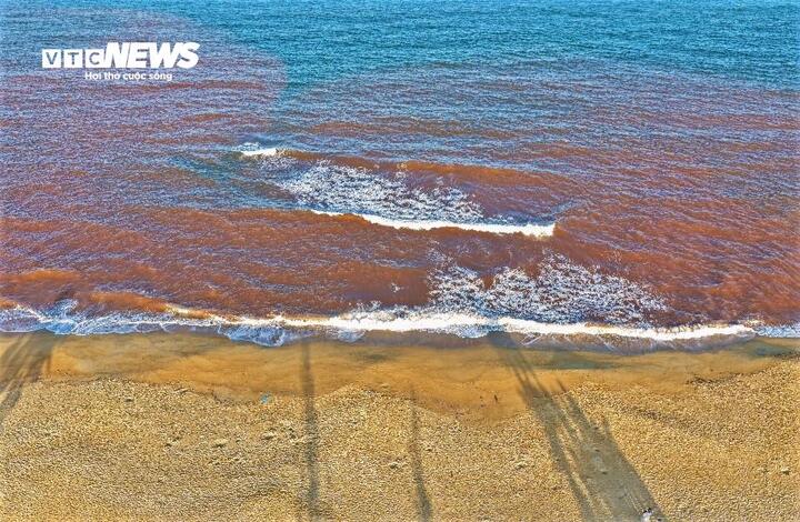 Đến thời điểm hiện tại, người dân địa phương và chính quyền địa phương vẫn chưa xác định được nguyên nhân của hiện tượng trên.